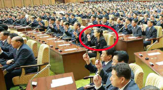 북한 노동당 기관지 노동신문이 30일 최고인민회의 제13기 제4차 회의가 개최됐다고 보도했다. 사진은 관람석에 앉아 신분증을 들어 보이는 김여정 노동당 선전선동부 부부장의 모습.